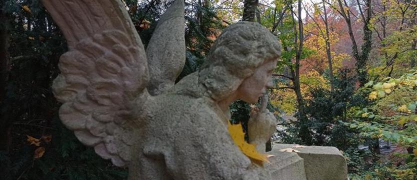 "Pośród dymu z kadzielnic". Modlitwa za mieszkańców i miasto Szczecin