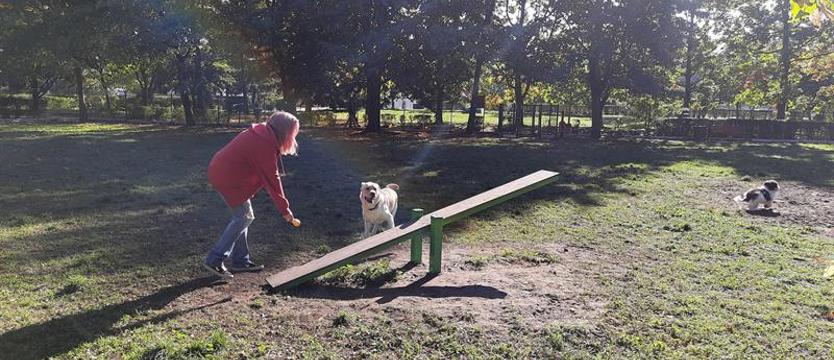 Radny: „Nie składam broni”. Police bez Budżetu Obywatelskiego