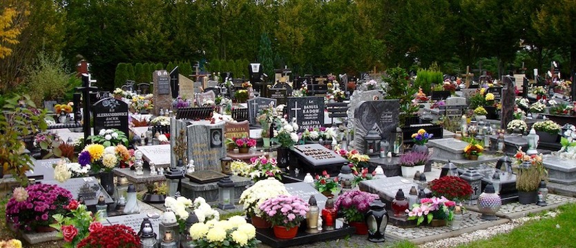 Powiększą cmentarz komunalny o ponad 9,5 hektara