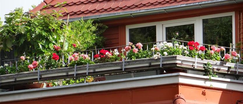 Cały Szczecin w kwiatach. Ostatnie godziny na zgłoszenia