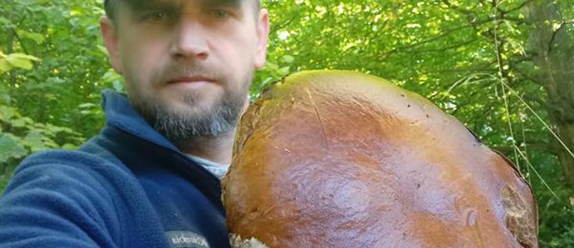 Gigant z Puszczy Bukowej