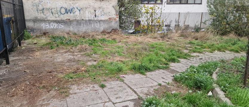 Interwencja "Kuriera". Dzikie wysypisko „Krzywoustego" zniknęło