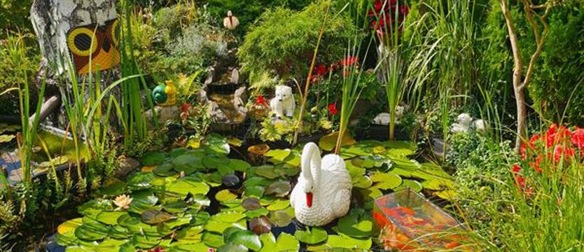 Czekamy na zgłoszenia do końca lipca. Cały Szczecin w kwiatach!