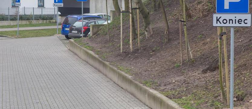 Zastawiono drogę – problem ze znakami