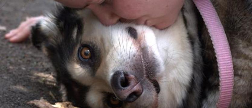 Dobrowolny podatek dla ratowania. Pomysł na wsparcie szczecińskiego TOZ