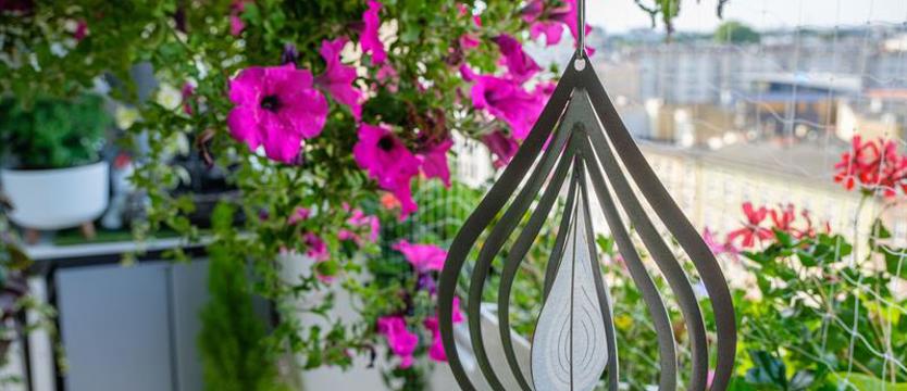 Cały Szczecin w kwiatach. Czekamy na zgłoszenia do jubileuszowej edycji