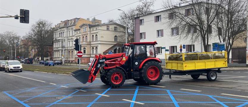 Blue boxy wracają na skrzyżowania