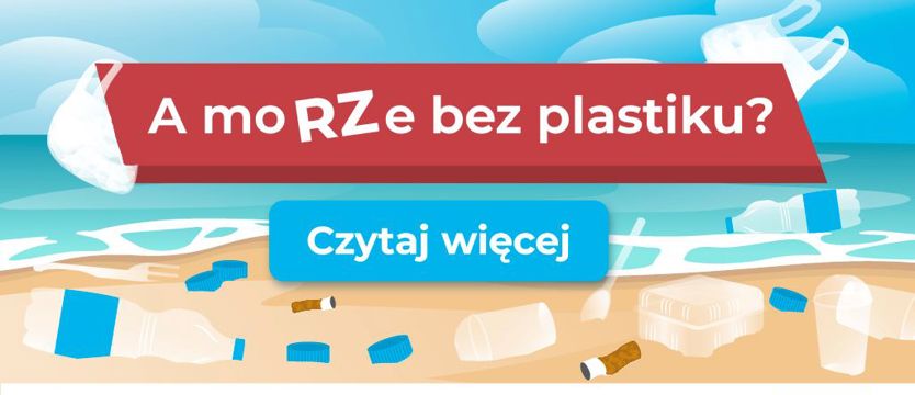 Skąd śmieci na plażach? Wyniki badań