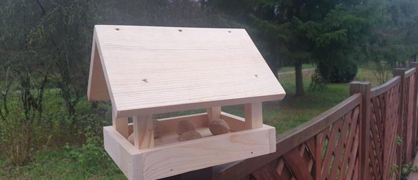 Zimowe wsparcie dla ptaków. Karmniki do wzięcia