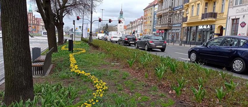 Wężykiem też ładnie