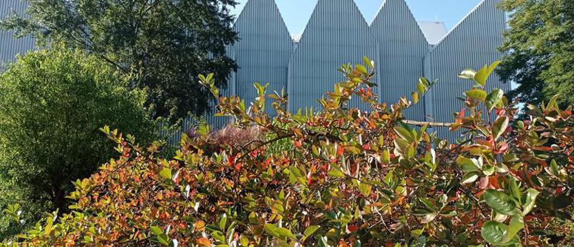 SBO 2023 - zostały 24 godziny na głosowanie. Szanse dla „pięknych okoliczności przyrody"