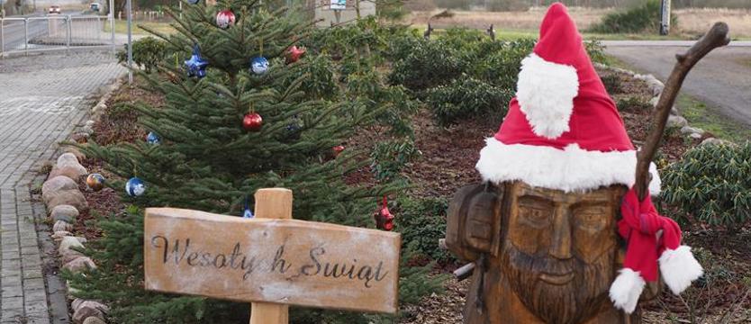 Choinka pełna marzeń. Listy ukryte w bombkach