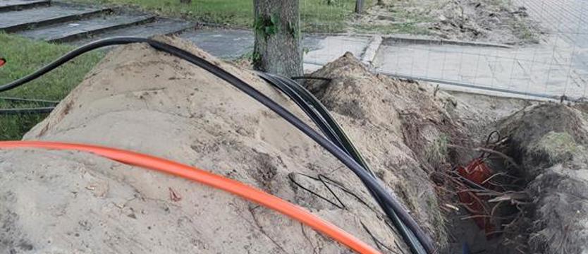 Gdy roboty sięgają korzeni. Jaki nadzór nad zielenią?