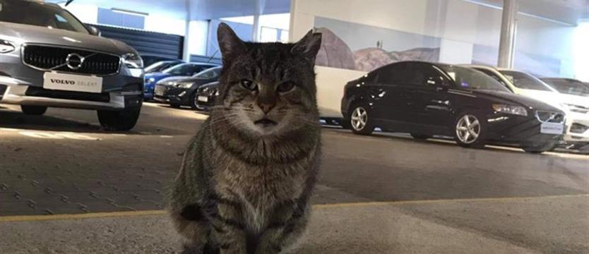 Jak sfinansować, żeby nie żałować? Kredyt na samochód