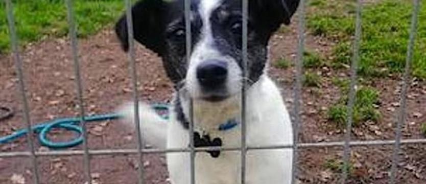 Ależ słodka Mrówka!