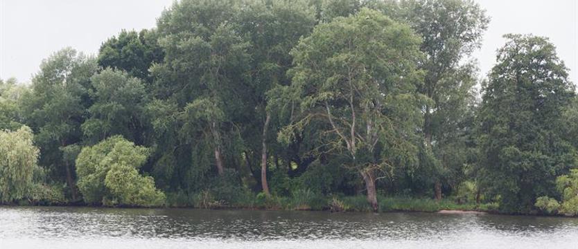 Światowy Dzień Wody. Chronić najcenniejszy zasób ludzkości