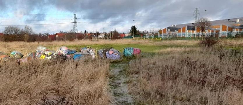 Powstaje nowy park. Przy ul. Złotowskiej na Warszewie