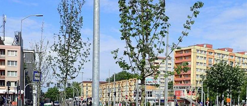 Na pl. Rodła ktoś podpalił nowe drzewko. A miało być pięknie