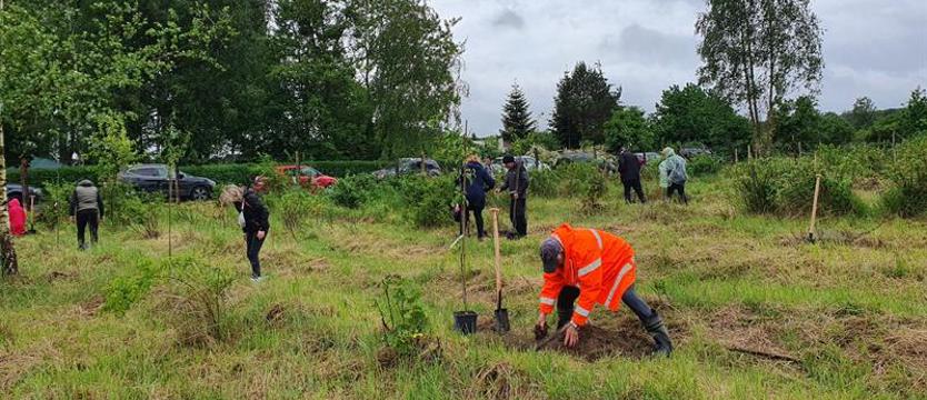 Leśnicy zapowiadają protest