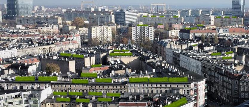 Radni dyskutują o inicjatywie obywatelskiej. Zielone dachy także w Szczecinie?