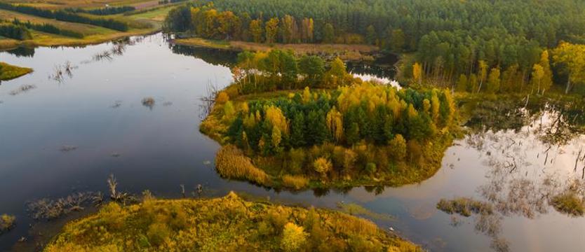 W niedzielę na… Koronę Gór Bukowych