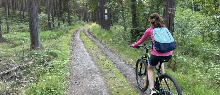 W Świnoujściu postawią na rowery i autobusy. Europejski Tydzień Zrównoważonego Transportu