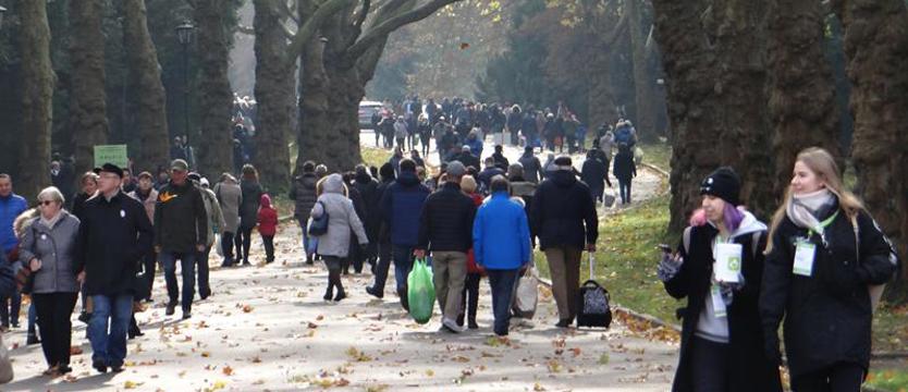 Zadbajmy o bezpieczeństwo odwiedzając groby bliskich