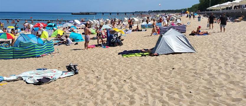 Parawany jednak zostają