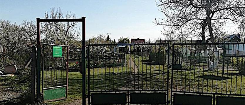 Mogą wydawać pieniądze na potrzeby działkowców