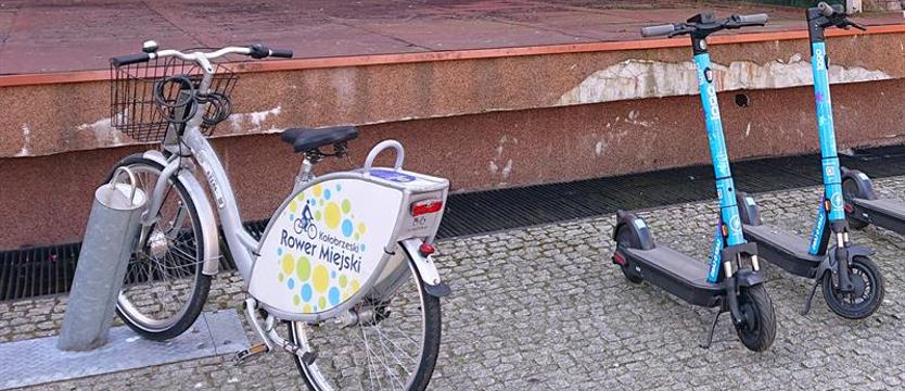 Kołobrzeg dopłaca do rowerów. Samorząd z trudem zapewnia trwałość projektu