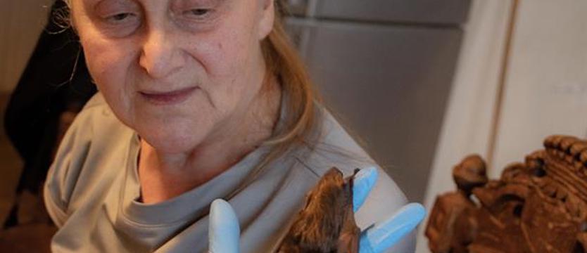 Pani od nietoperzy. Interweniuje i opiekuje się stworzeniami, których ludzie wciąż się obawiają