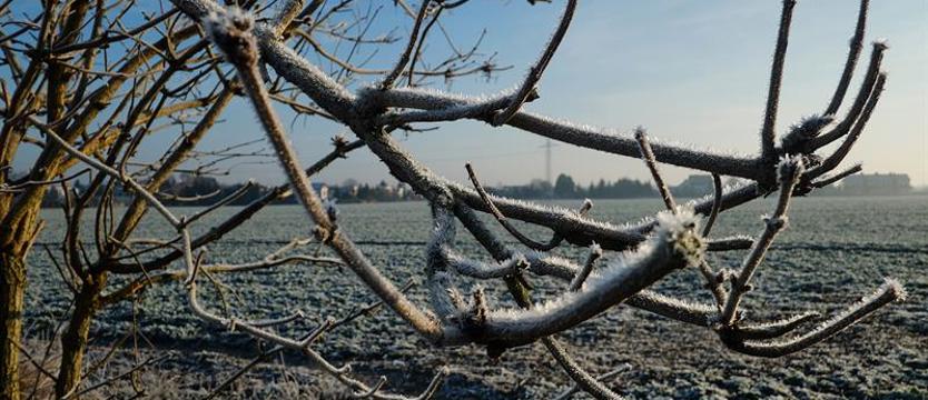 Do wtorku w całym Zachodniopomorskiem możliwe nocne przymrozki