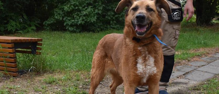 Weź mnie KURIEREM do domu. Jedyna taka Rea