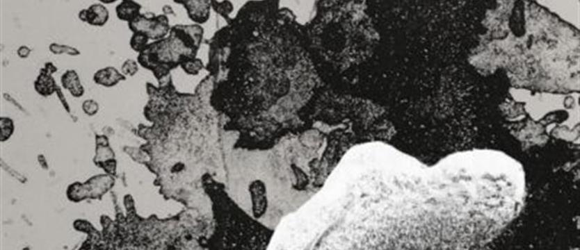 Trauma i lekkie troski w Domu Kultury 13 Muz