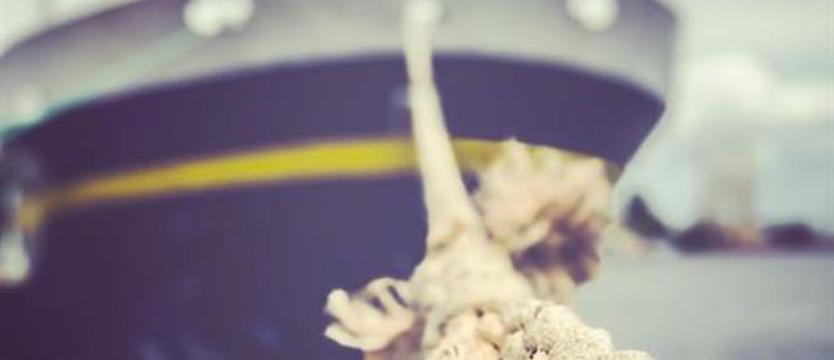 #portszczecinswinoujscie (22)