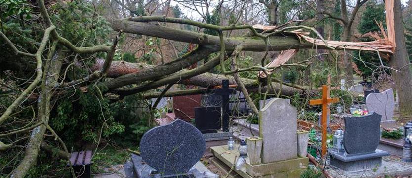 Porażający obraz cmentarnego zniszczenia