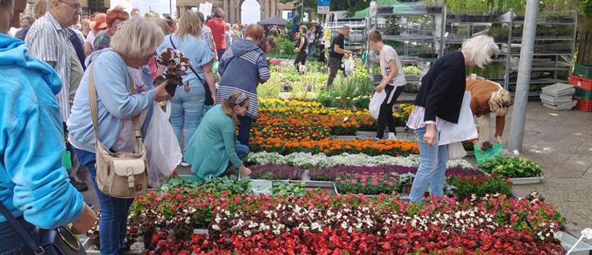W ogrodzie Wałów Chrobrego feeria barw, bogactwo smaków, flamenco i joga