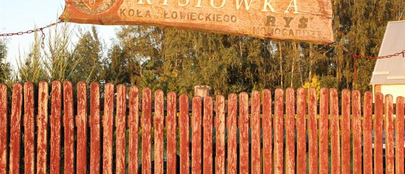 Kto zabił dorodnego łosia? 