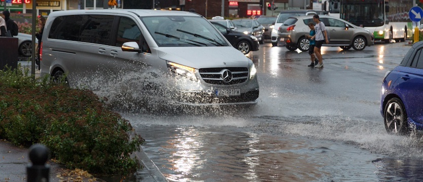 Burza nad Szczecinem. Powalone drzewa blokują ulice, opóźnienia w komunikacji miejskiej