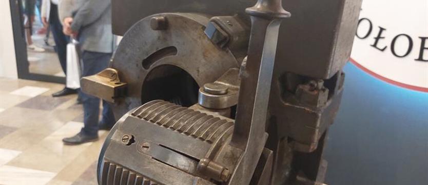 Wilk odkrył Wilka. Perełka w kołobrzeskim muzeum