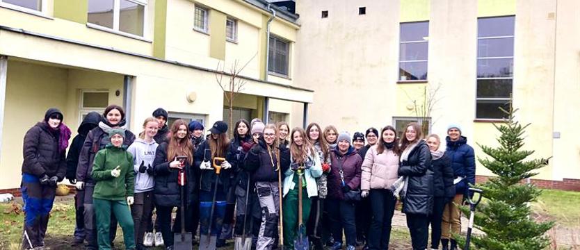 Oaza w szpitalu „Zdroje”. Zielona metamorfoza