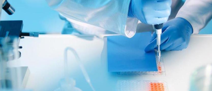 Naukowcy z Łodzi promują metody alternatywne będące ratunkiem dla zwierząt laboratoryjnych