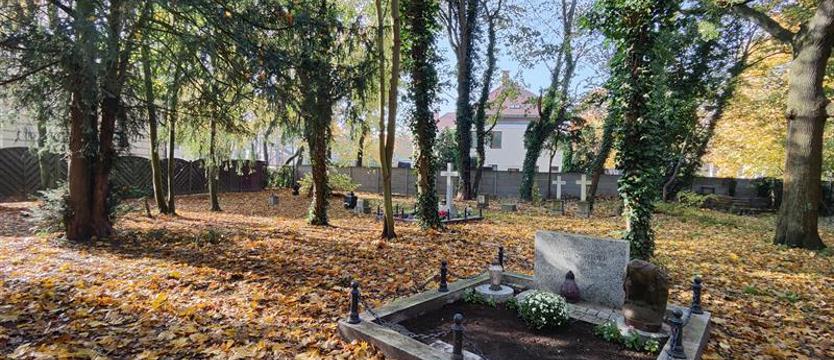 Pamięć dla przyszłości. Nowy rozdział skweru Quistorpów