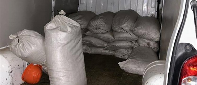 Złapani na gorącym uczynku. Przeładowywali ponad tonę nielegalnego tytoniu