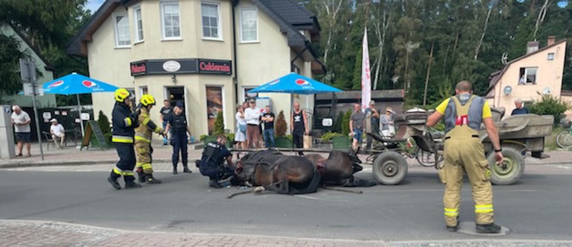 Ucieczka koni z bryczką ulicami Niechorza