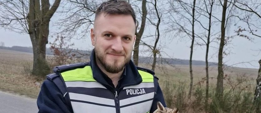 Policjanci pomogli puchaczowi. Nie był w stanie latać
