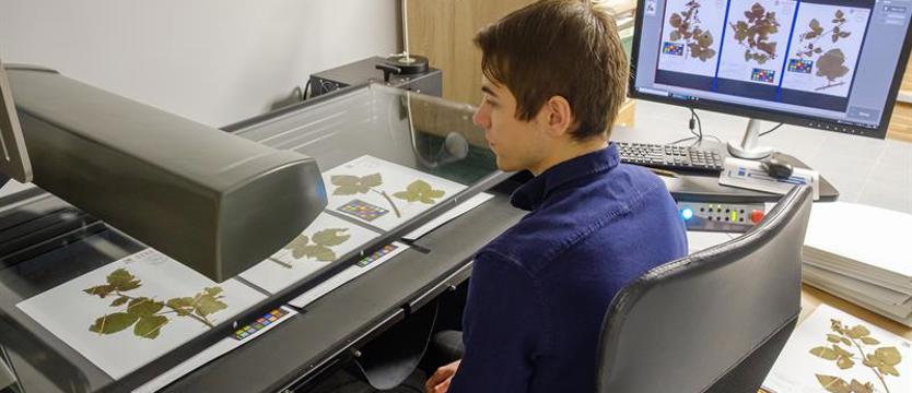 Uniwersytet Szczeciński pochwalił się swoim herbarium