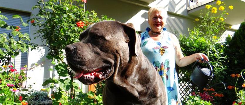 Cały Szczecin w kwiatach. Zaciszny taras w miejskiej dżungli