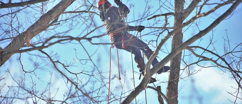 „Drwale” zostali skazani