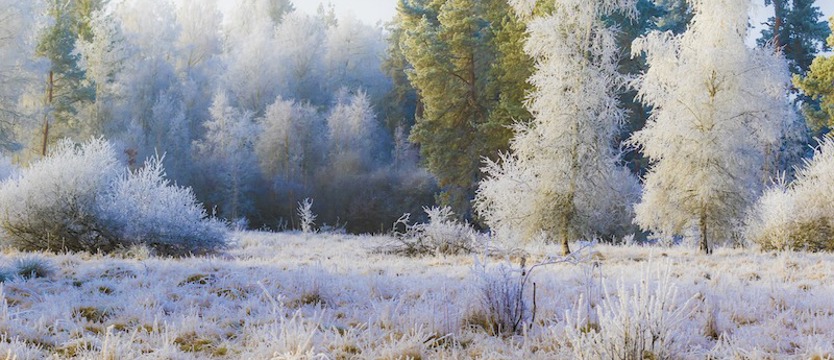 Najbliższej nocy w całym regionie możliwe przymrozki nawet do -5 °C